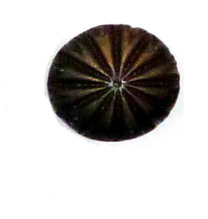 CAST IRON CABINET KNOB 32mm #3060 (Set of 6 Pcs)