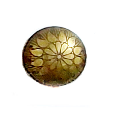 Brass Cabinet Knob 35mm #2220 (Set of 6 Pcs)
