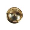 Decorative Nail Heads Brass Antique Domes Nails - 65mm #1090
