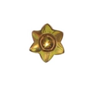 Decorative Nail Heads Decorative Nail Heads Brass Domes - 19mm #1108