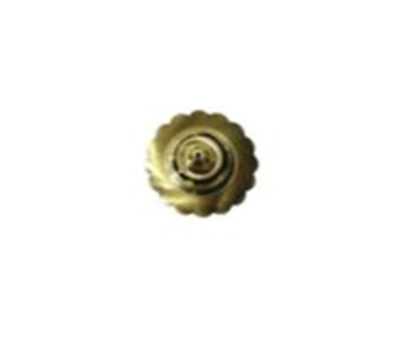Decorative Nail Heads Brass Domes -38mm #1115