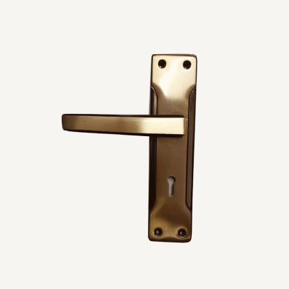 Iron Mortice KY Door Handle On Plate 200mm #8653 - Image 3